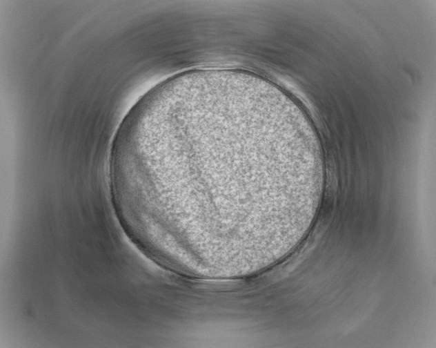 X0000112411487200909110939