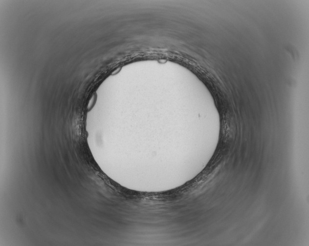 X0000112411490200909110939