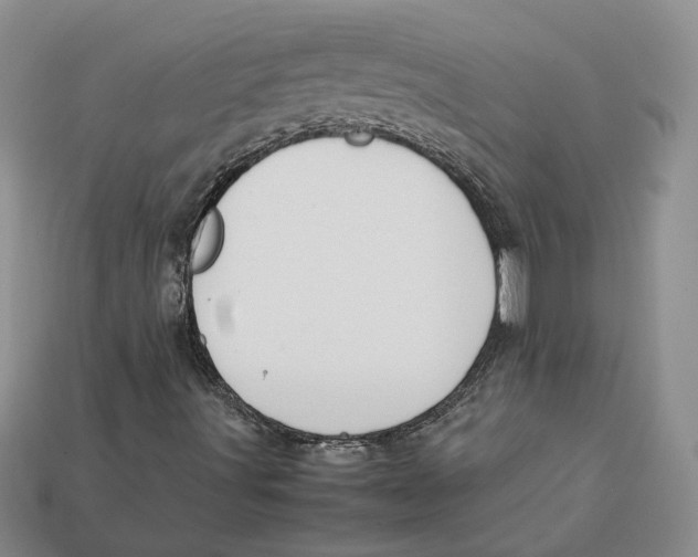 X0000112411491200909110939