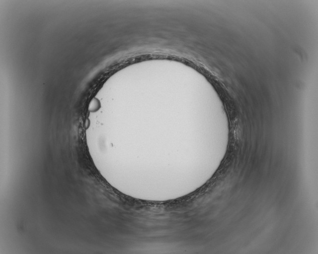 X0000112411495200909110939