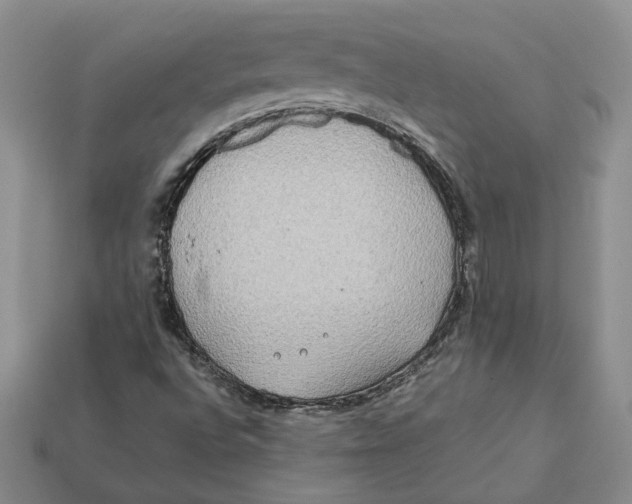 X0000112411496200909110939