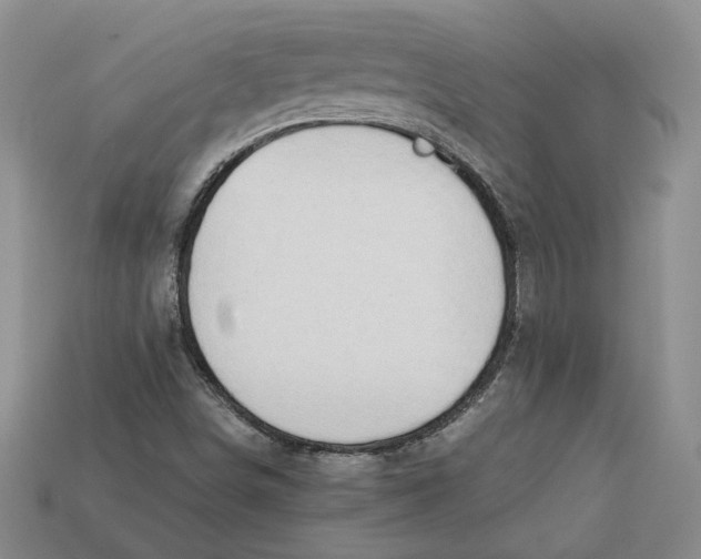 X0000112411498200909110939