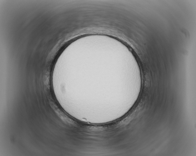 X0000112411499200909110939