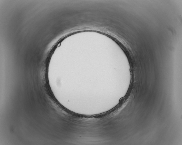 X0000112411502200909110939