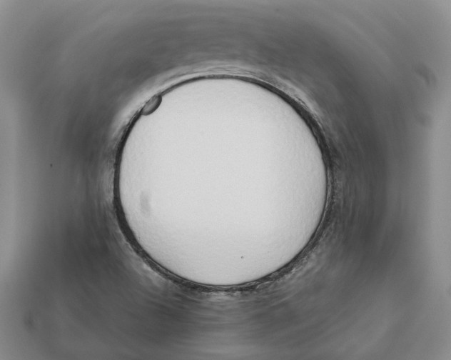 X0000112411504200909110939