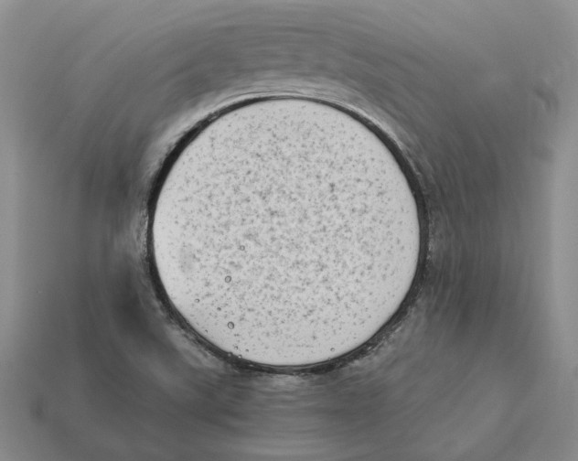 X0000112411507200909110939