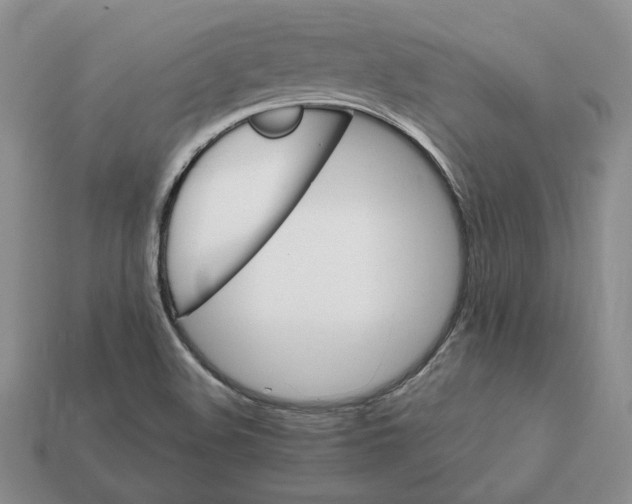 X0000112411508200909110939