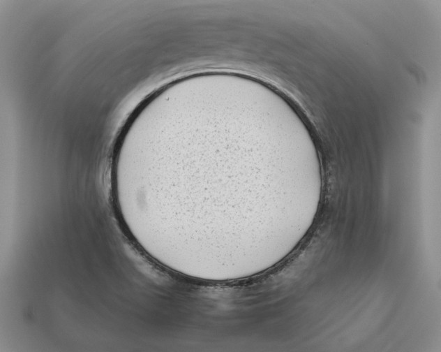 X0000112411511200909110939