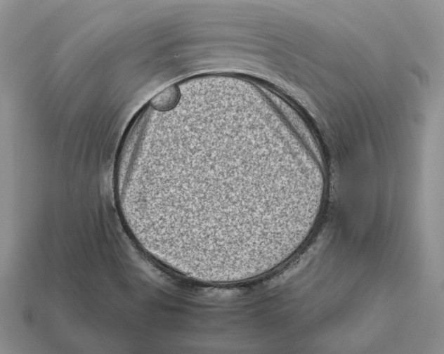 X0000112411513200909110939