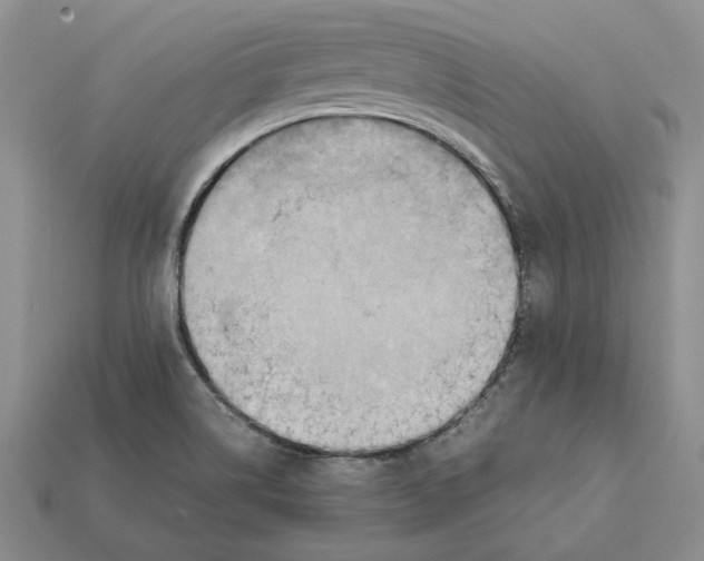X0000112411514200909110939