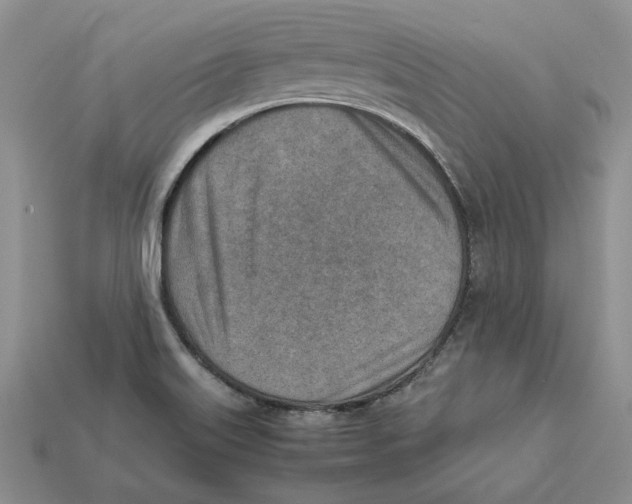X0000112411515200909110939