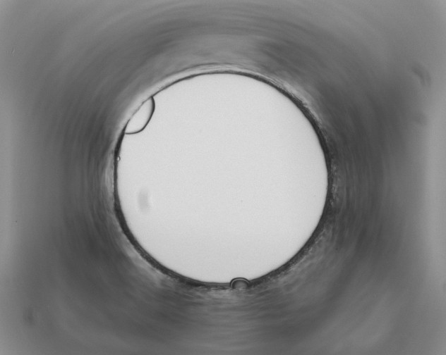 X0000112411516200909110939