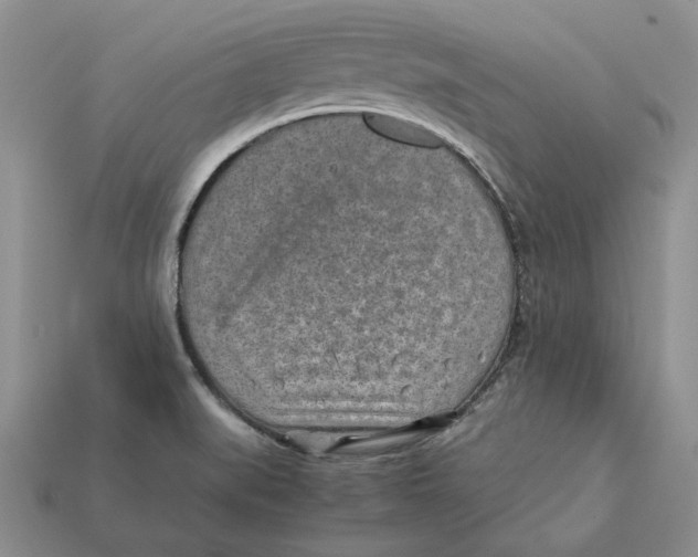 X0000112411519200909110939