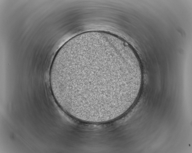 X0000112411521200909110939