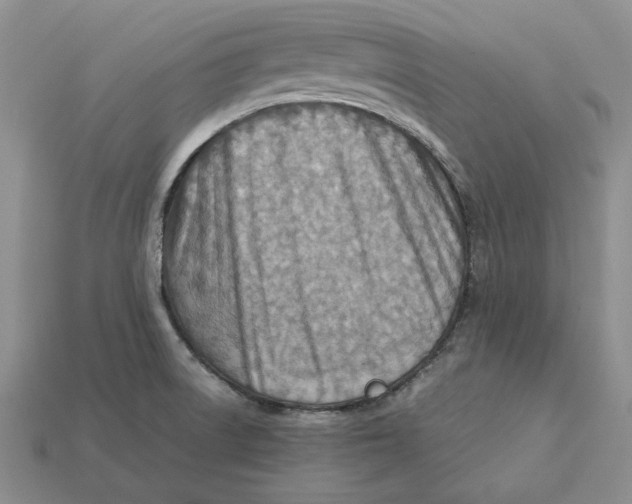 X0000112411522200909110939