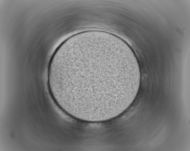 X0000112411523200909110939