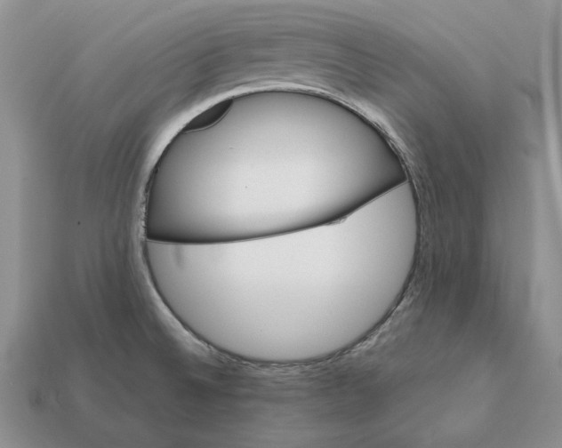 X0000112411524200909110939