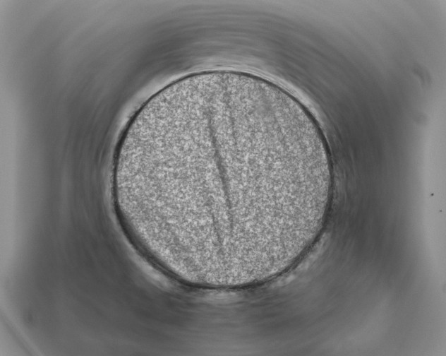X0000112411525200909110939