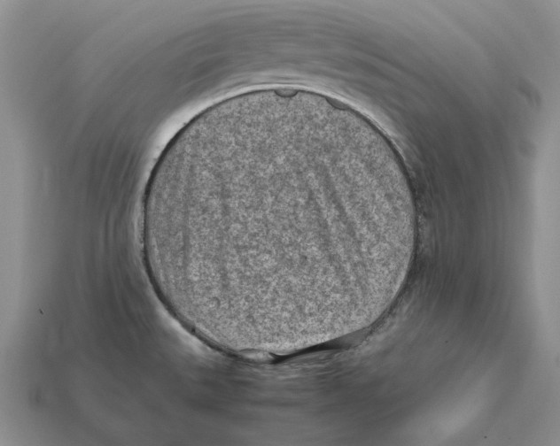X0000112411527200909110939
