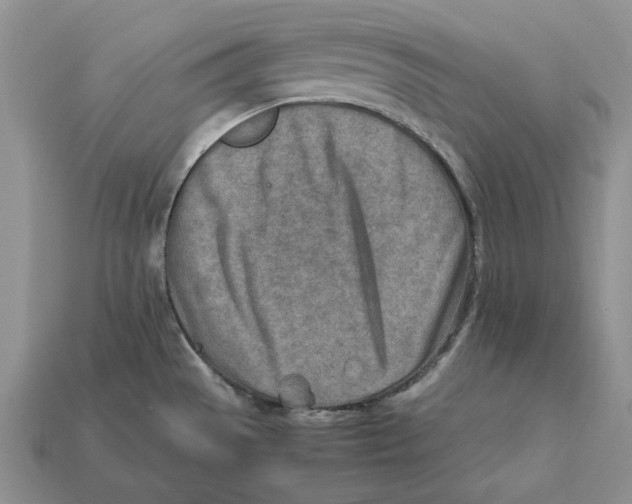X0000112411529200909110939