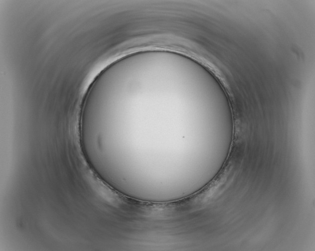 X0000112411530200909110939