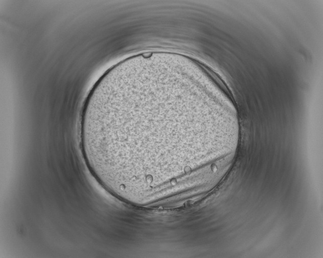 X0000112411531200909110939