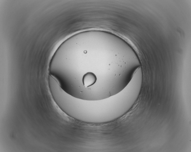 X0000112411532200909110939