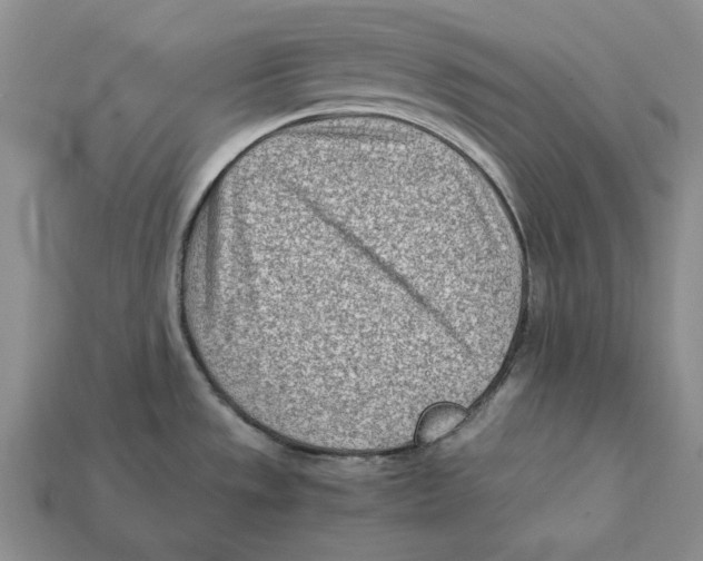 X0000112411533200909110939