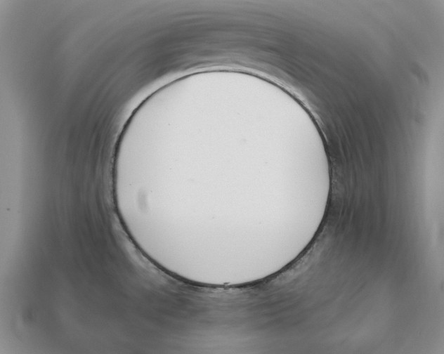 X0000112411534200909110939