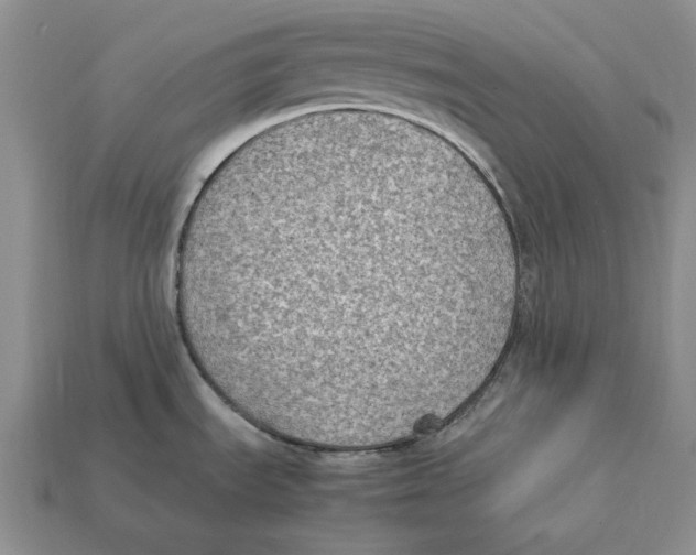 X0000112411535200909110939