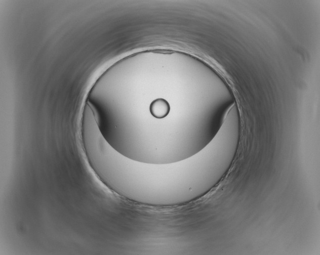 X0000112411536200909110939