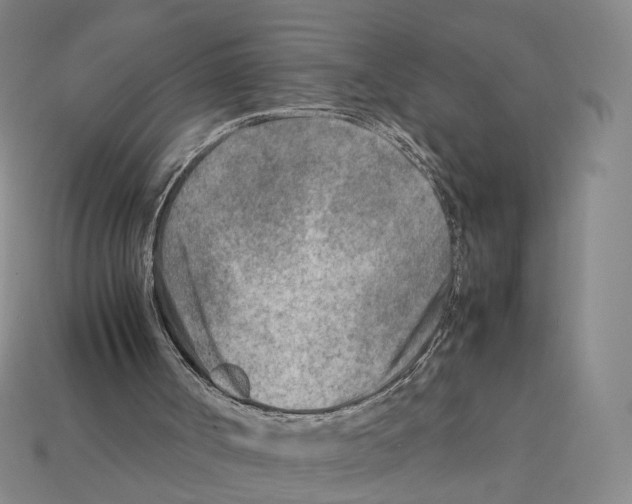 X0000112410002200909251505