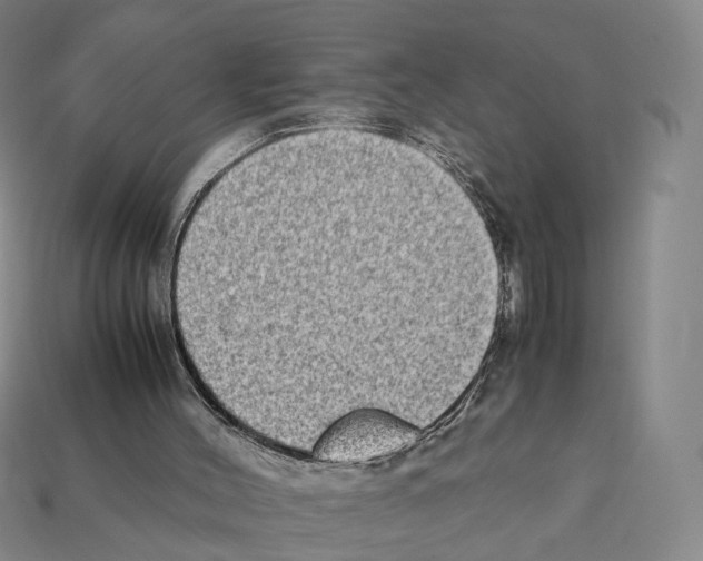 X0000112410004200909251505