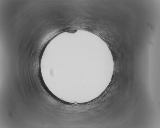 X0000112410005200909251505