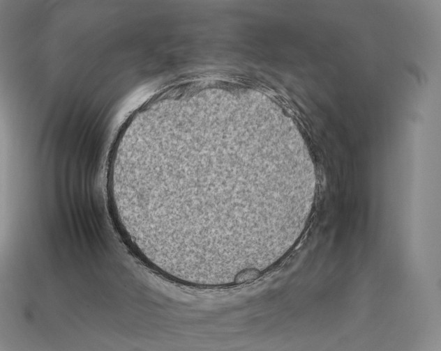X0000112410006200909251505