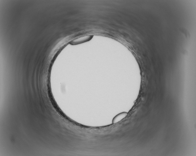 X0000112410007200909251505