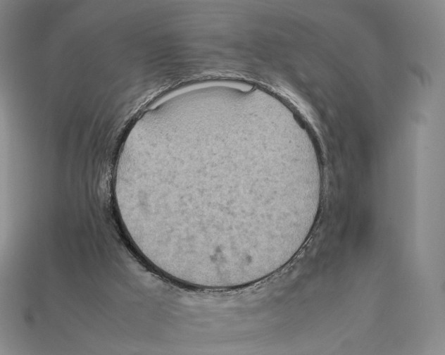 X0000112410009200909251505
