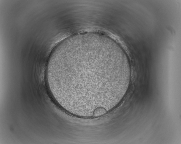 X0000112410010200909251505