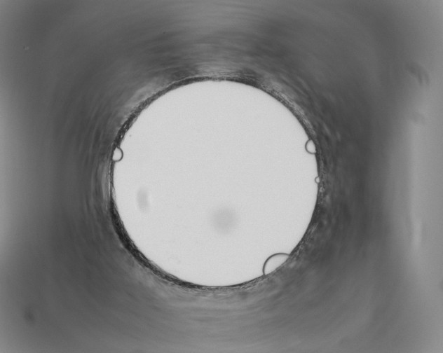 X0000112410011200909251505