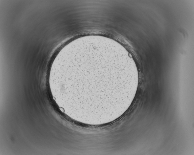 X0000112410012200909251505
