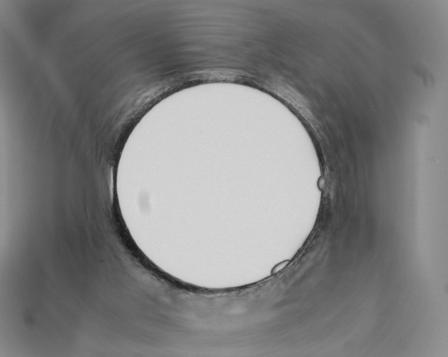 X0000112410013200909251505