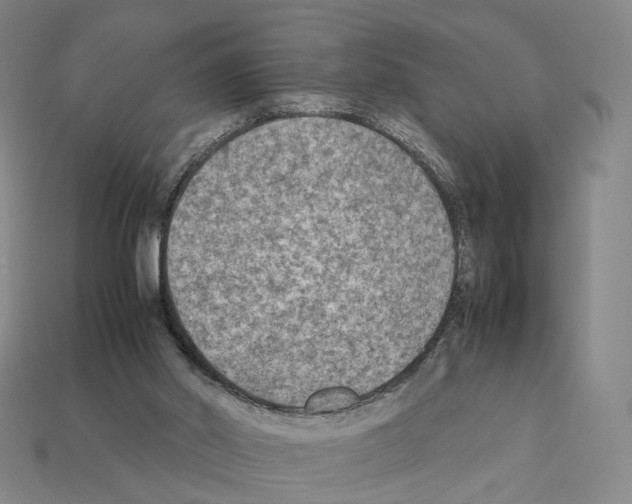 X0000112410014200909251505