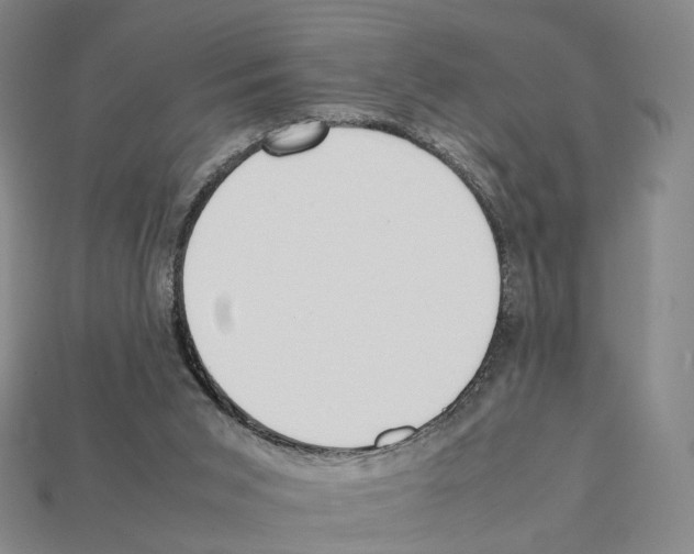 X0000112410015200909251505