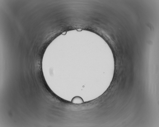 X0000112410017200909251505