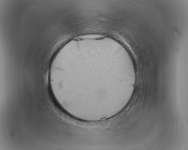X0000112410019200909251505