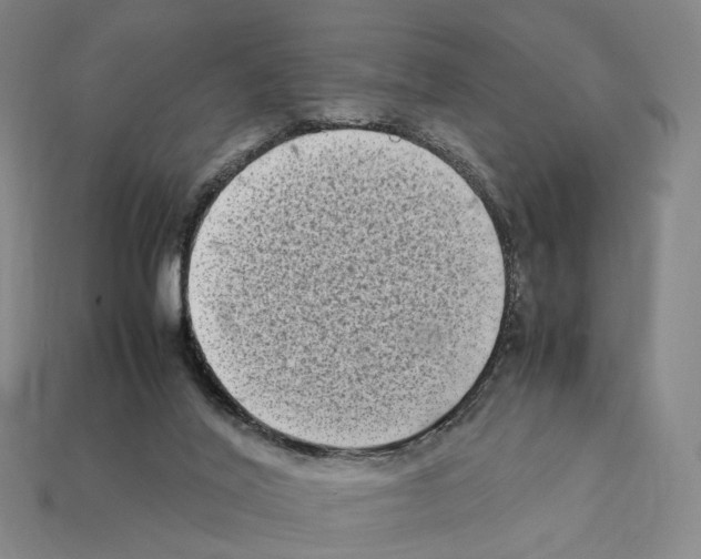 X0000112410020200909251505