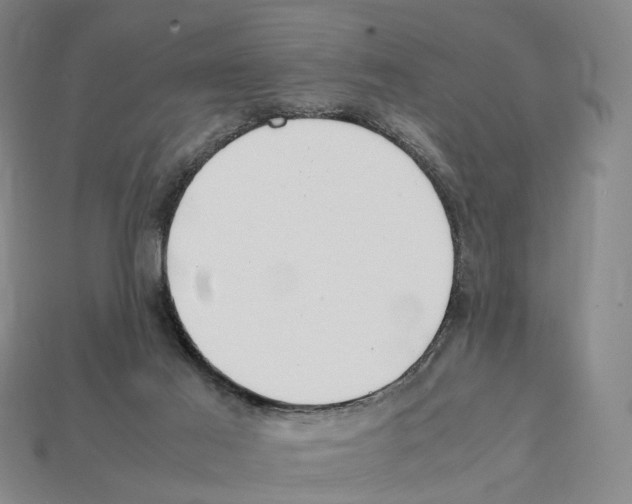 X0000112410021200909251505