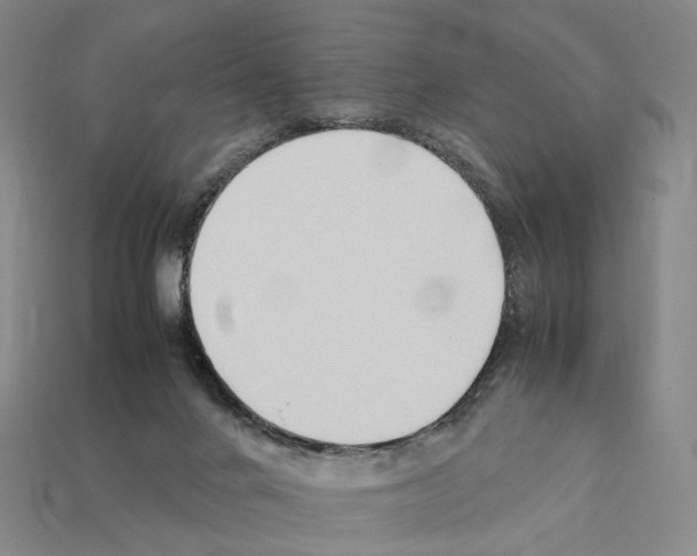 X0000112410024200909251505