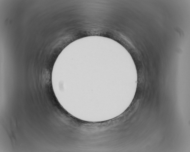 X0000112410025200909251505