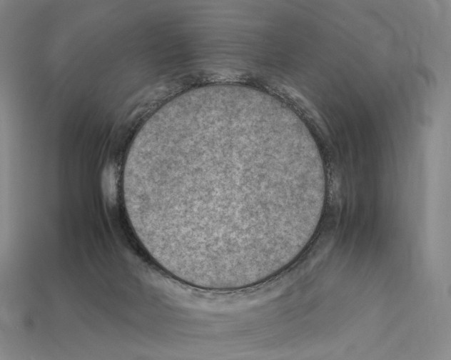 X0000112410026200909251505